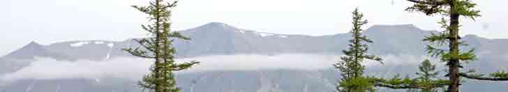 ����������� ������